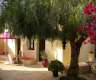 B&B O Tartufo